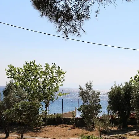 La Petite Maison, Studio Kakogkioni